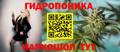 СК Кулебаки